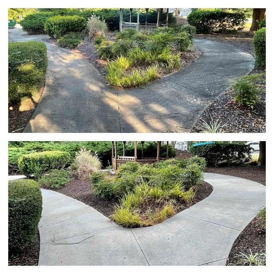 Project Sidewalk Cleaning Turning Concrete Surfaces Bright and Inviting image