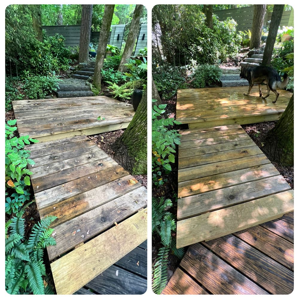 Before and after: wooden path restoration in a lush garden with a dog walking.