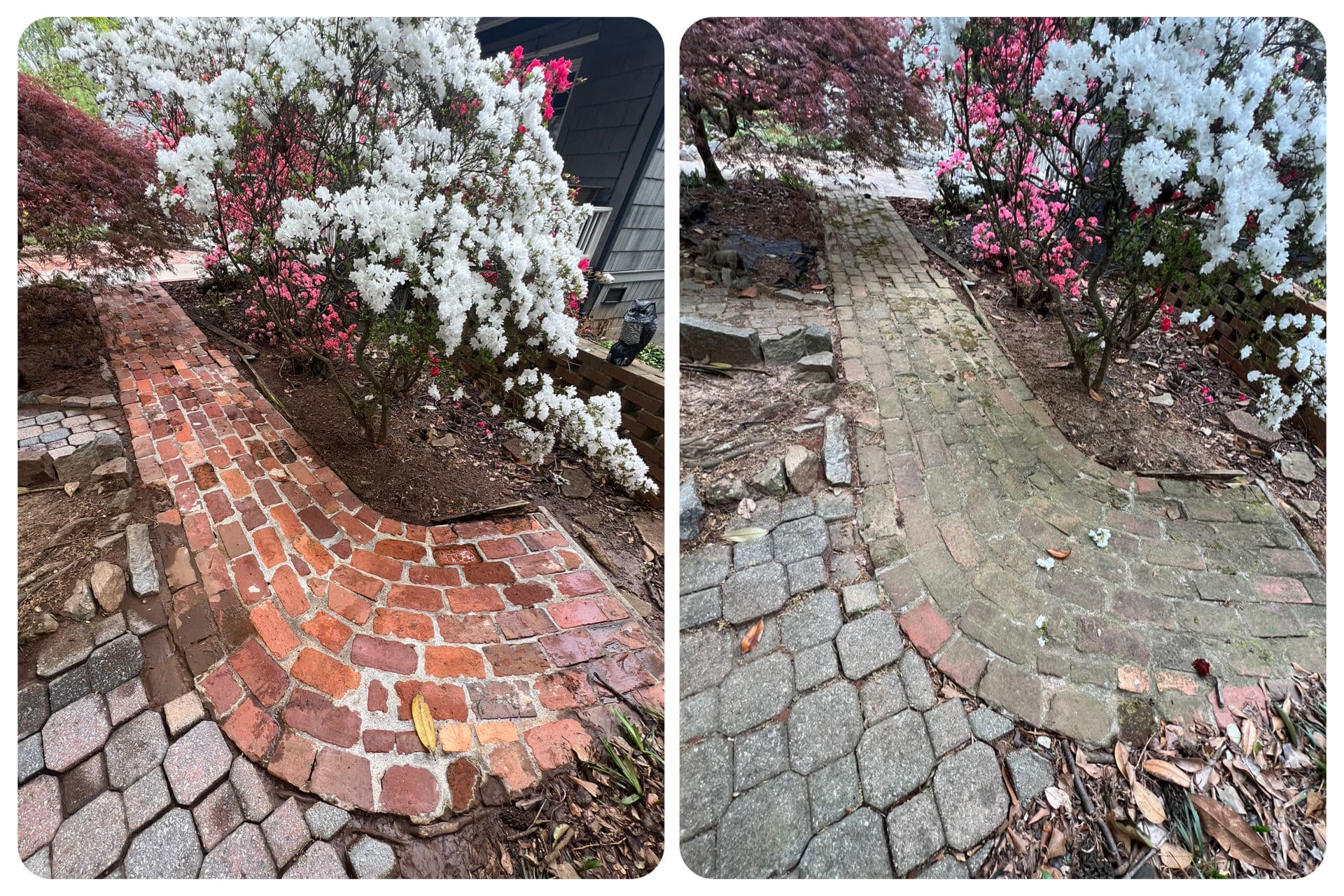 Garden Path Brick Cleaning Success image